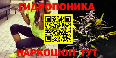 spice Бузулук