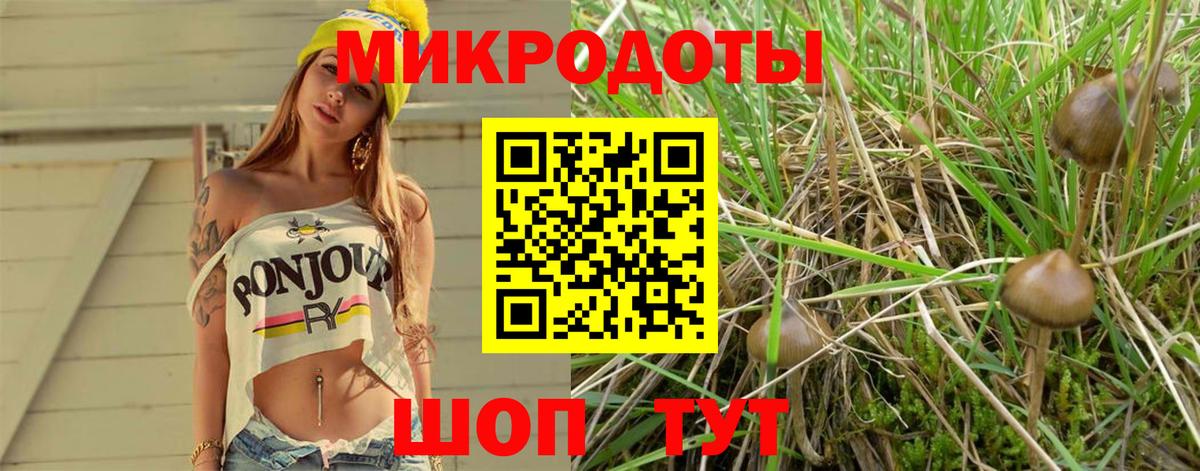 Соль-Илецк  Галлюциногенные грибы Cubensis  Галлюциногенные грибы Magic Shrooms  Вход с VPN 
